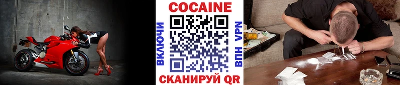 купить наркотики цена  Губкин  Cocaine Эквадор 